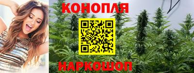 индика Боровичи