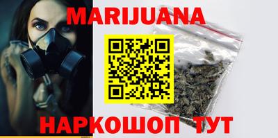 индика Боровичи