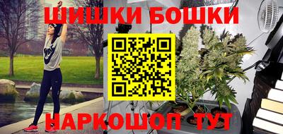 индика Боровичи